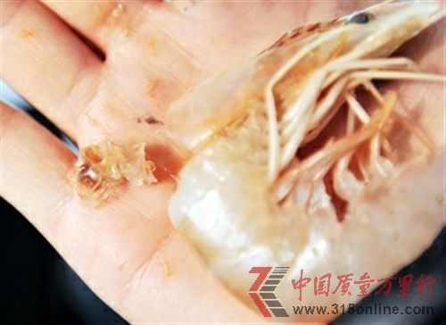 圖為記者從天津市場上購買的“注膠蝦”頭部擠出膠狀透明物質。 新華社發