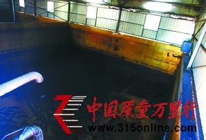 工人將運到的地溝油導入原料池。