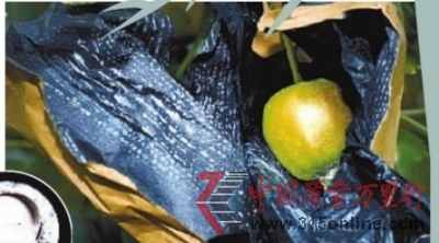 roO׵ˎմMrˎ(СD)İɫˎĩ