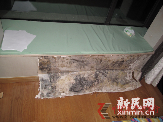 許小姐家飄窗下墻面霉跡斑斑。新民晚報·新民網(wǎng)記者 房浩 攝 許小姐家飄窗下墻面霉跡斑斑。新民晚報·新民網(wǎng)記者 房浩 攝